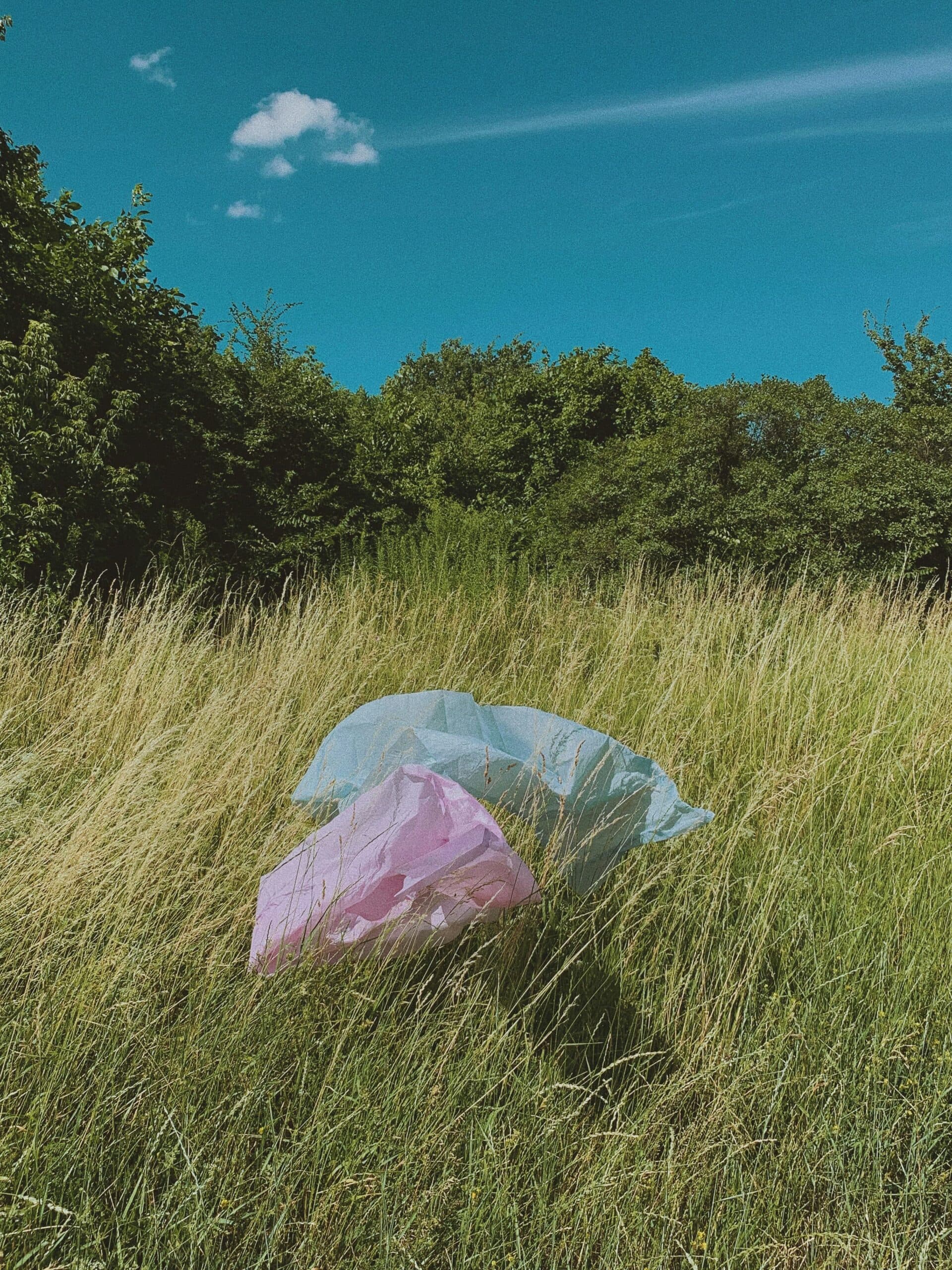 Plastpåsar i naturen